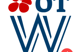 Online-Technik-Werkstatt (1x-Zahlung)