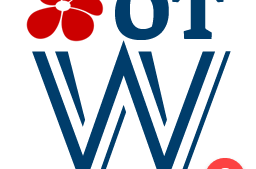 Online-Technik-Werkstatt (monatl.)